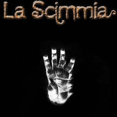 La Scimmia