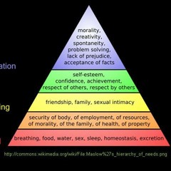 Maslowz Hierarchy