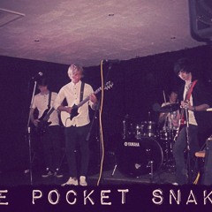 Pocket Snakes
