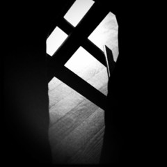 ✴FLOWER 'N' FLAMES✴