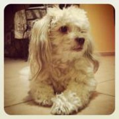 Rossy Olivarez Viera