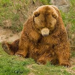 Robäärtt Bärwinkel