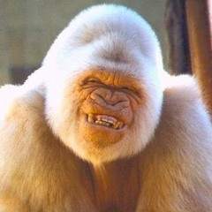 Beastie Boys vs Faith No More vs Evanescence - InterGoinGalactEpic (SMRmashup)