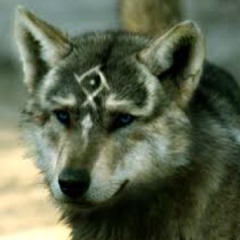 wolsaw