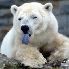 BearLord