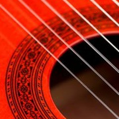 Músicos Brasileiros