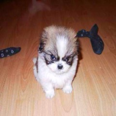 cloud