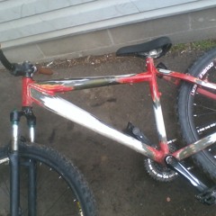 brandongauthier23224332