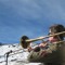 Brasskazoo