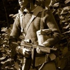 Diego Gabriel Ibarra Imao