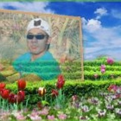 Chintu Navi
