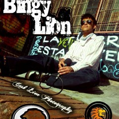 Bingy Lion