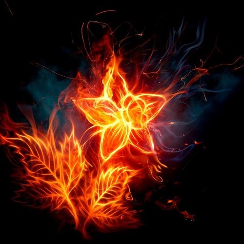 روحان غادة شبير