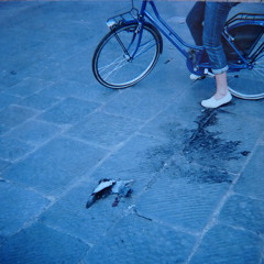 BullshitsForTourists