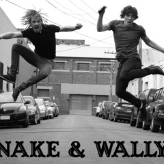 SnakeAndWally
