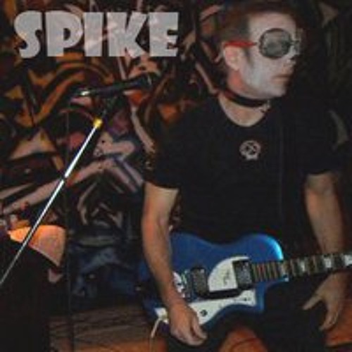 Spike N Stein’s avatar