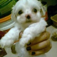 Nohely Peralta Cervera