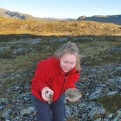 Renathe Axten Jørnsen