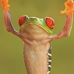 brianbaibak