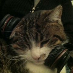 dj lalith ninoumixstyle