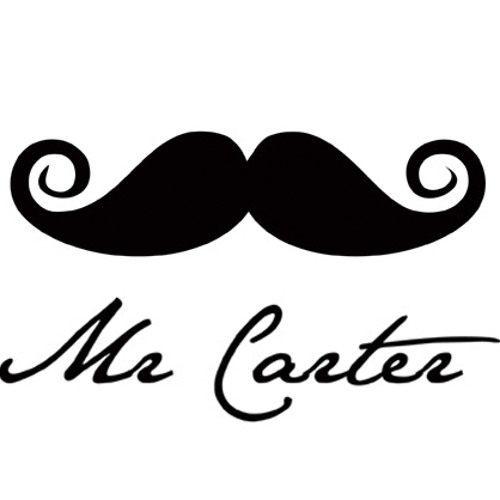 the life of mr carter lyrics the life of mr carter lyrics