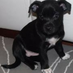 Misha06