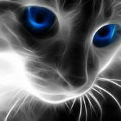 01. Forever Young  special extended mix