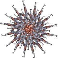 scott_benesiinabandan