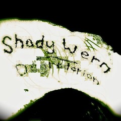 Shady Wern