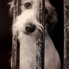 Cesar Ampuero Barrientos