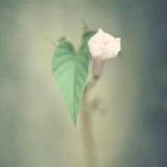 Agolo live@Barcode Kaohsiung 04-20-2012