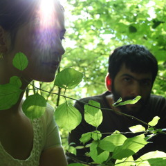 The Jingle Jangle Morning