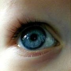 SWEET CREME PUFF PROPHETS