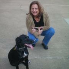 Laurel Dub Chamberland