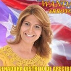 Wanda Arroyo Rivera