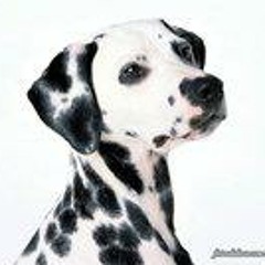 Katia Gavranich Camargo