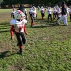 Darius Darden