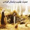 صوت جنوب وشمال الوادى