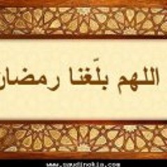 مشارى