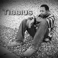 Tibbius