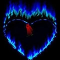 Jackjackdragonproductions