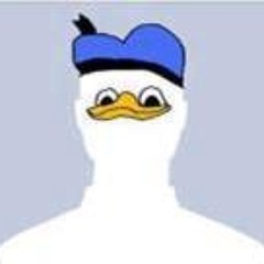 Phillip Meowingtons Vo