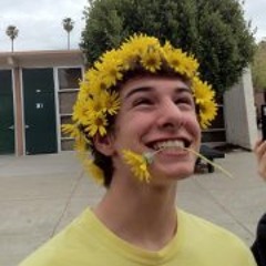 Alex Dornfest