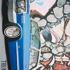 Spizzy Nkosana Potgieters