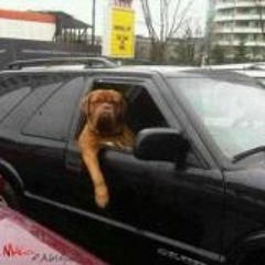 Cortège Présidenciel Mc