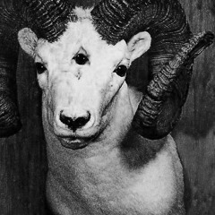 Norûego The Lost Hatred