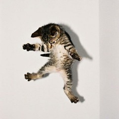 ValentCat