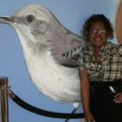 Jaquilla Shaunte Lee