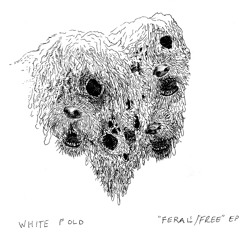 White Fold