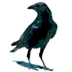 Krahesturm